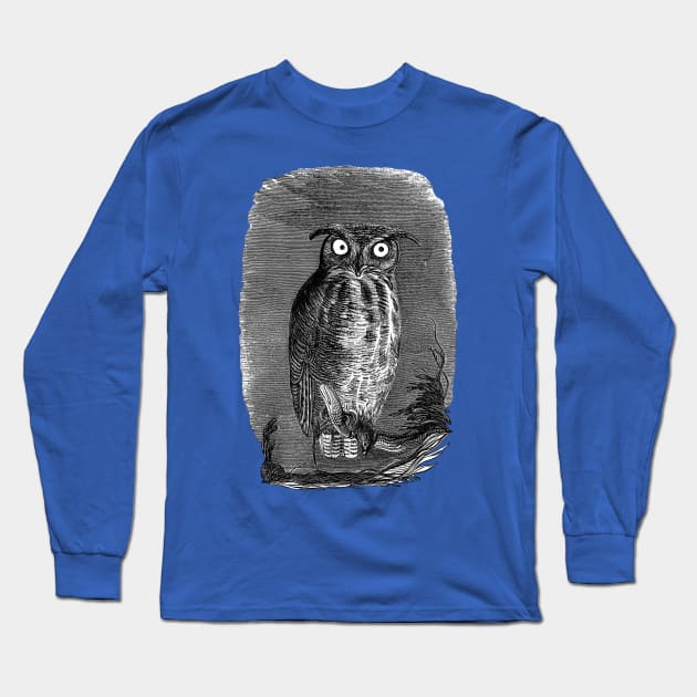 Halloween Owl at Night Long Sleeve T-Shirt by RedThorThreads